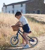 Load image into Gallery viewer, Ban wood bike - navy