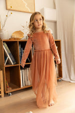 Load image into Gallery viewer, Birdie dress - burnt pink
