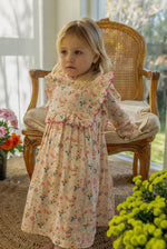 Load image into Gallery viewer, Lucie dress - pink bird
